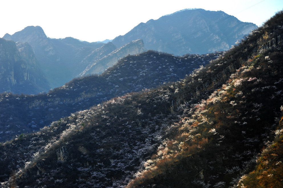 DSC_9381.jpg