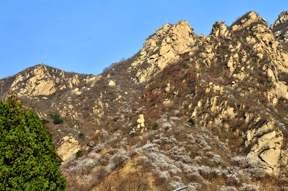 DSC_9321.jpg