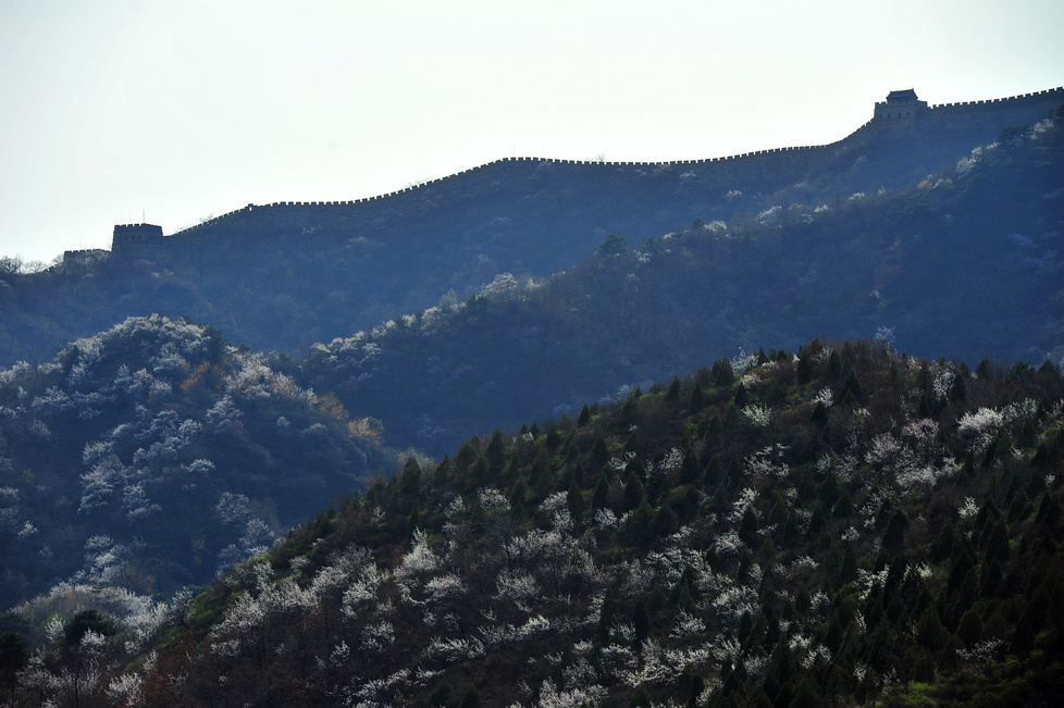 DSC_9322.jpg