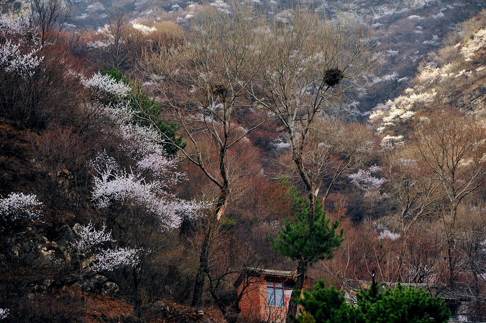 DSC_9376.jpg