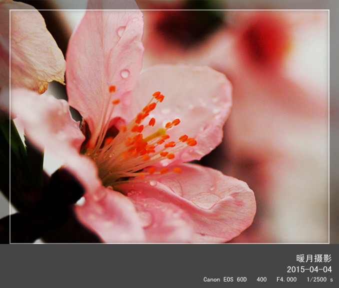 IMG_0156_副本_副本.jpg