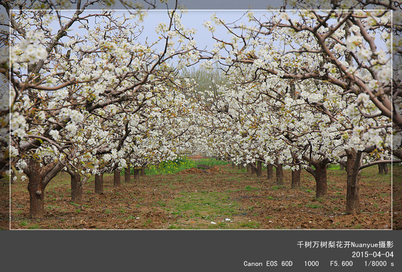 IMG_0210_副本_副本.jpg
