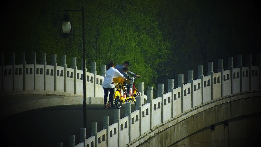 DSCF2698.JPG