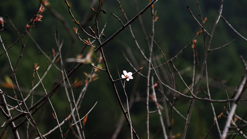 DSC05043.jpg