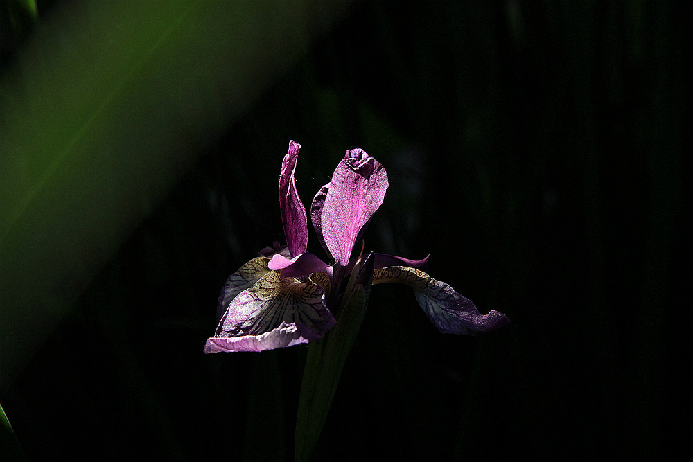 IMG_5913_副本.jpg