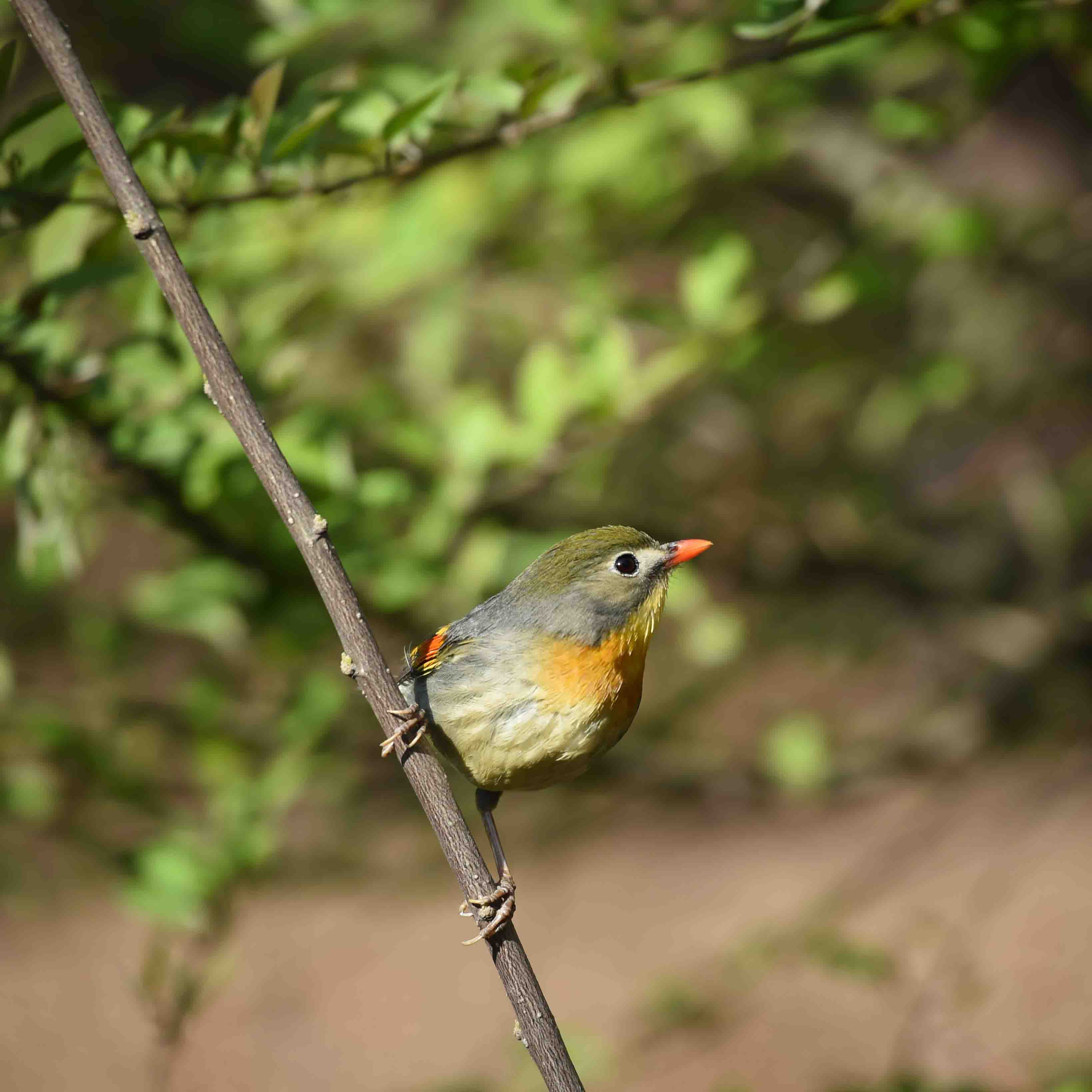 DSC_6044_副本.jpg