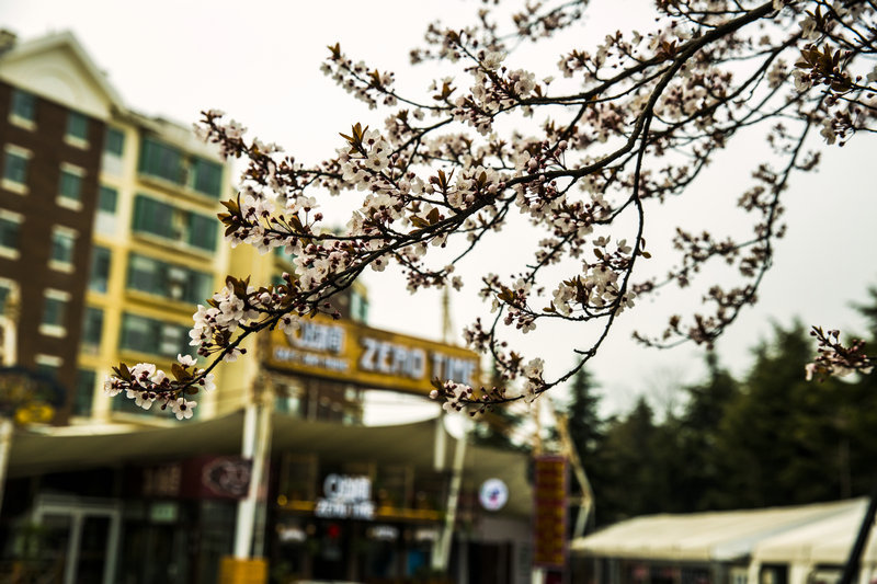 _18A5965.jpg