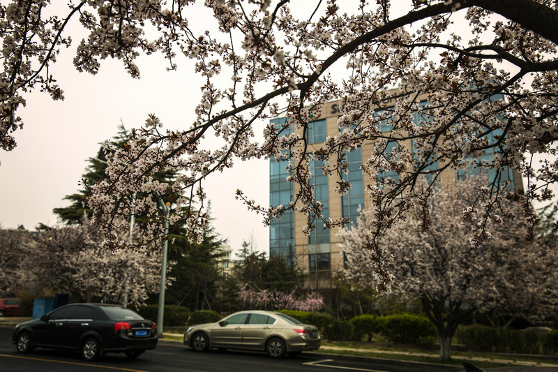 _18A5960.jpg