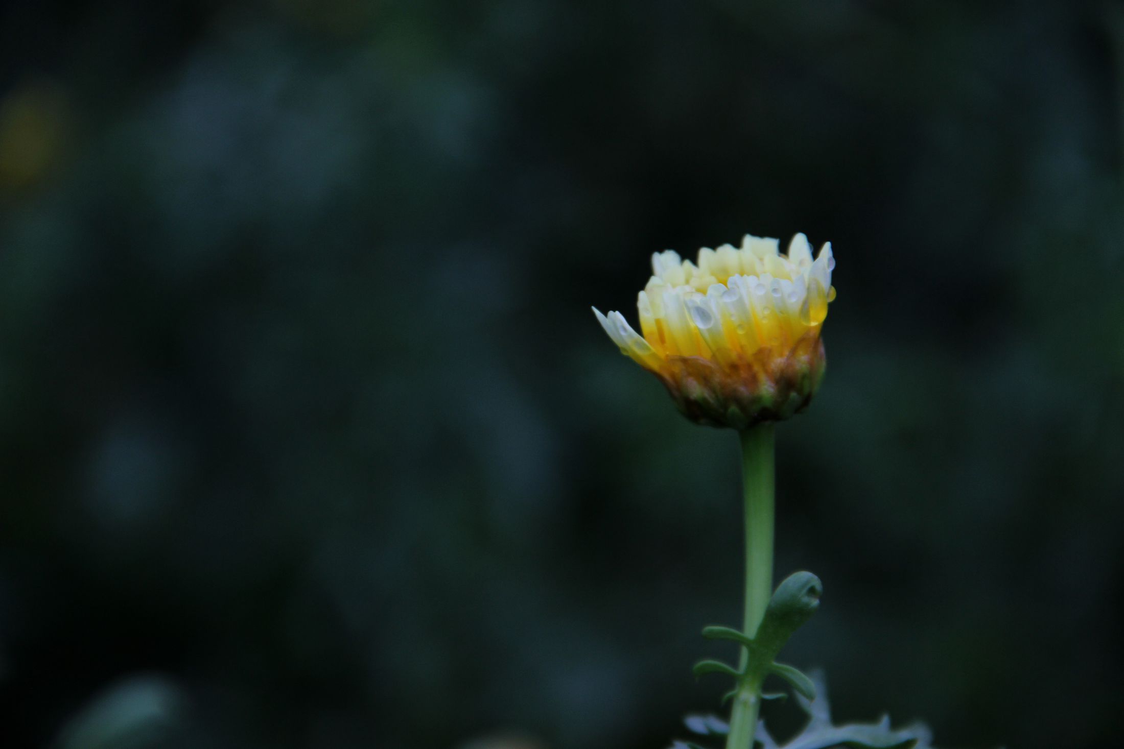 IMG_6245_副本.jpg