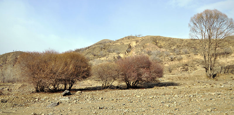 _DSC0073.JPG