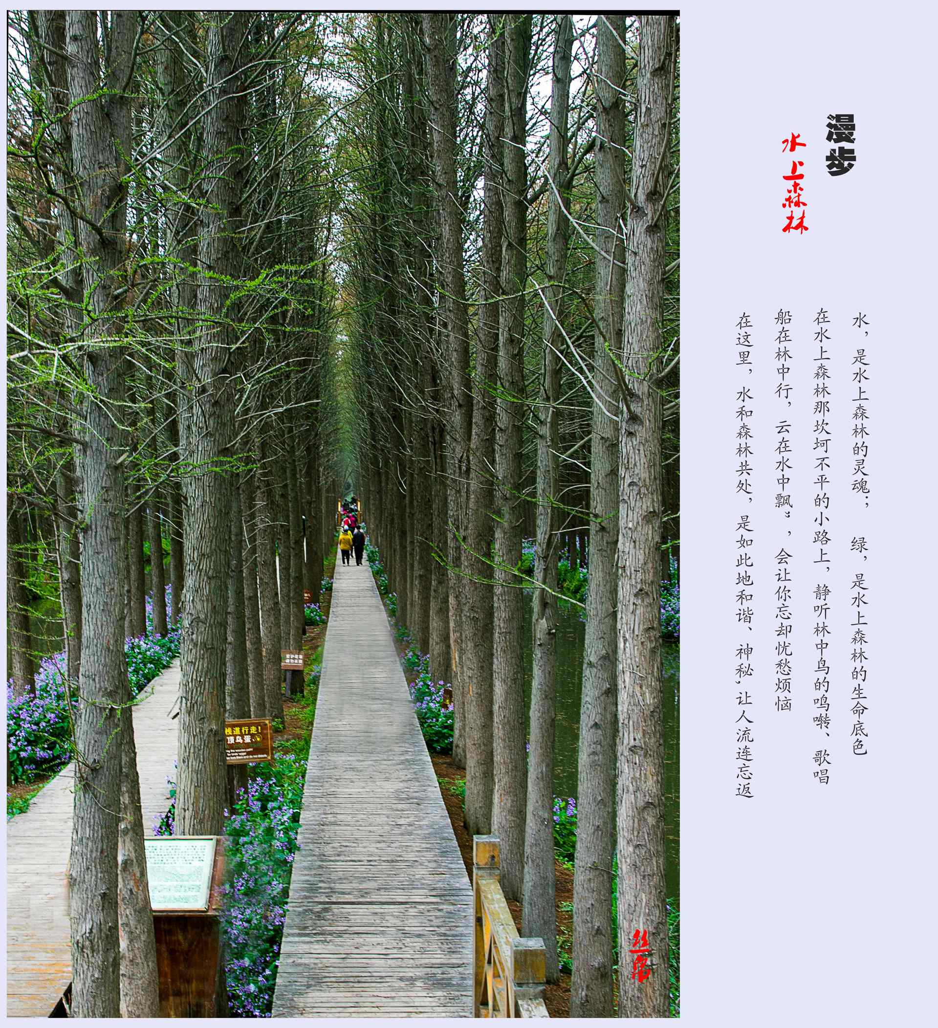 IMG_3657_副本_副本.jpg