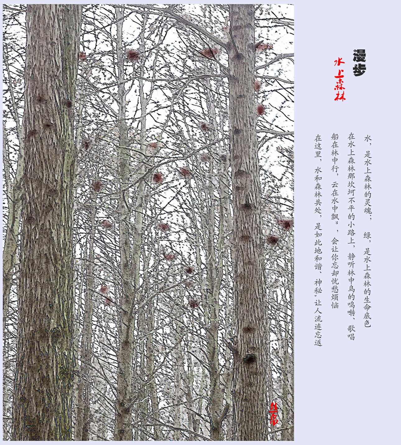 IMG_3700=_副本_副本.jpg