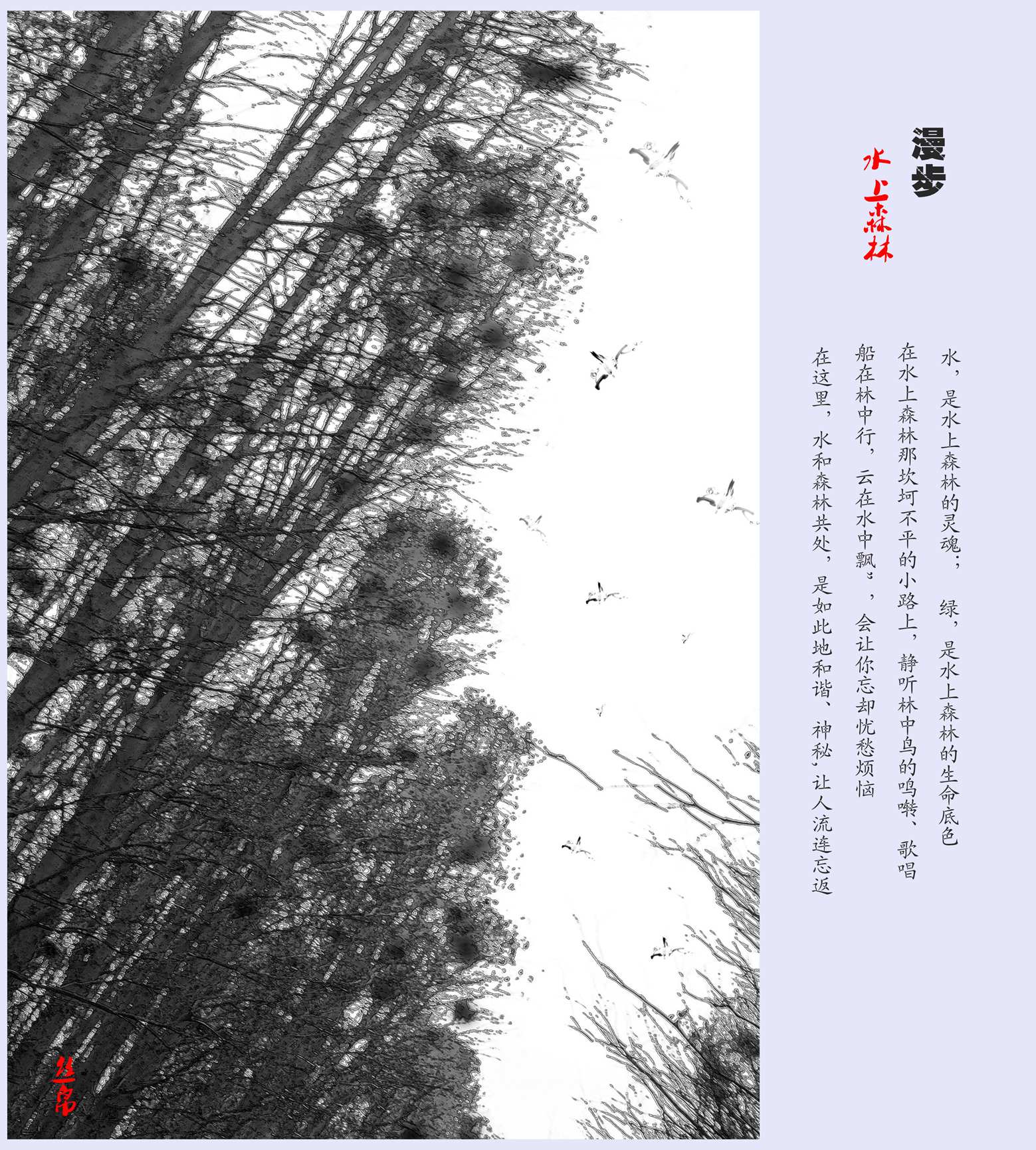 IMG_3701_副本_副本.jpg