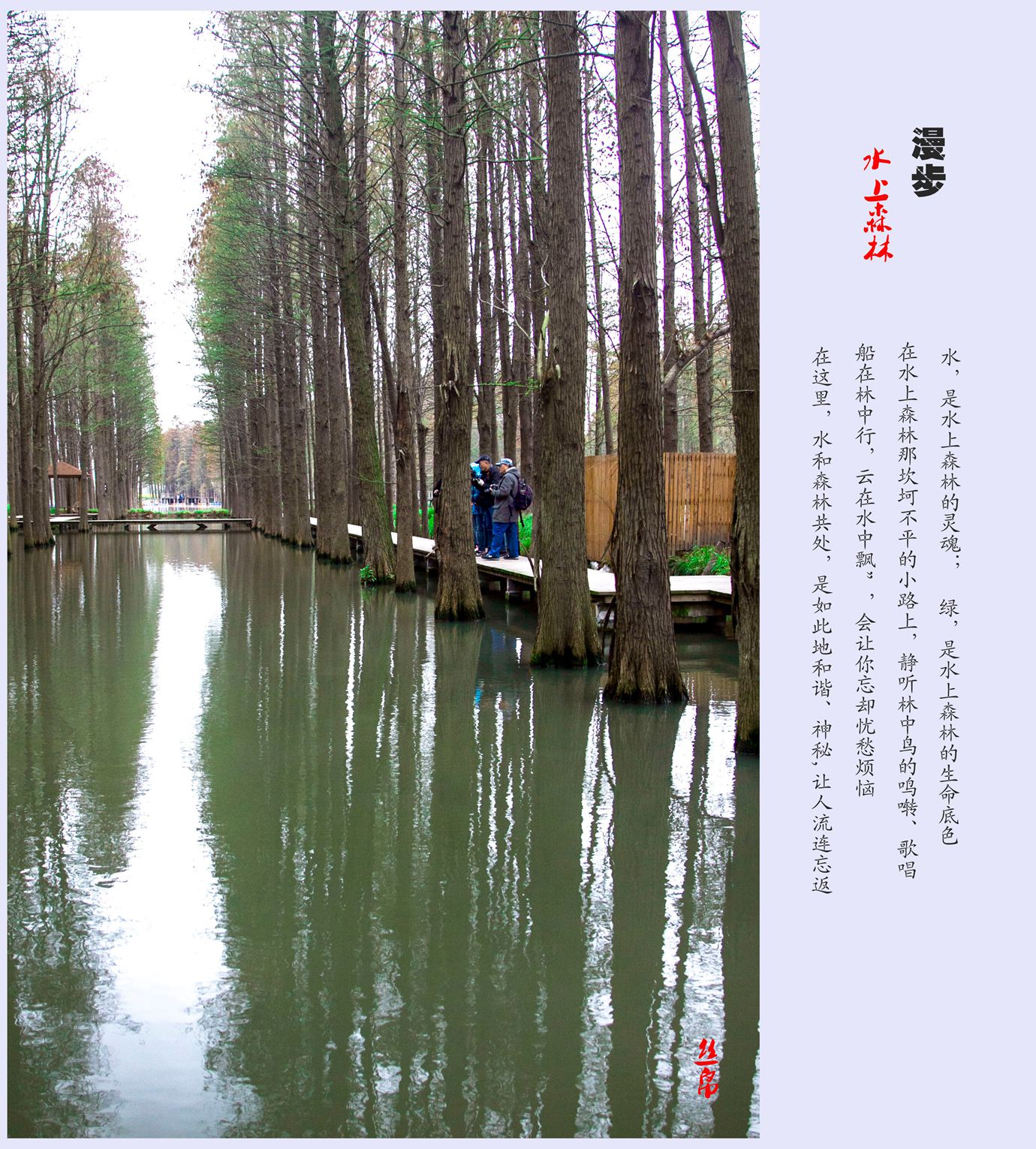 IMG_3723_副本_副本.jpg