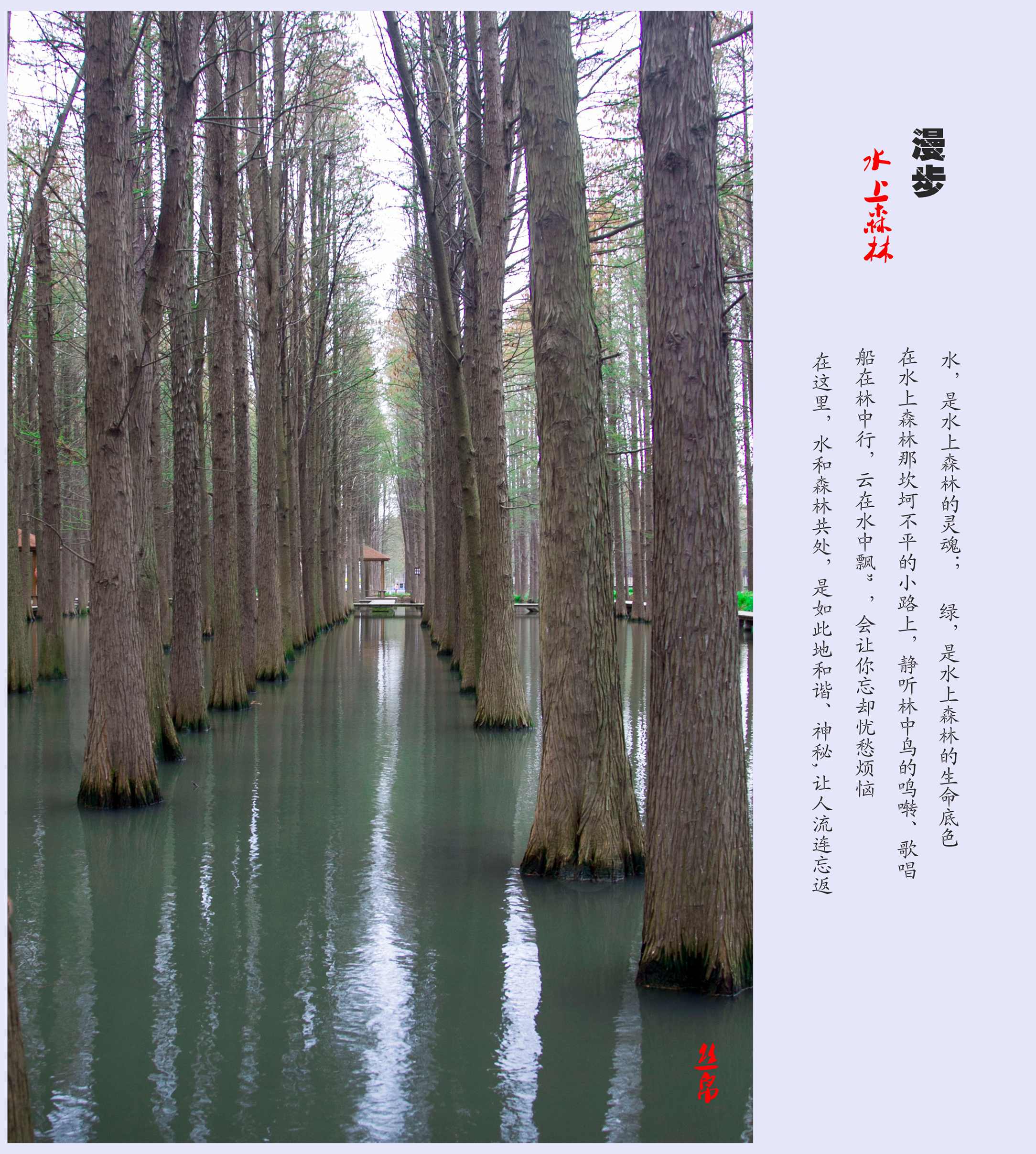 IMG_3725_副本_副本.jpg