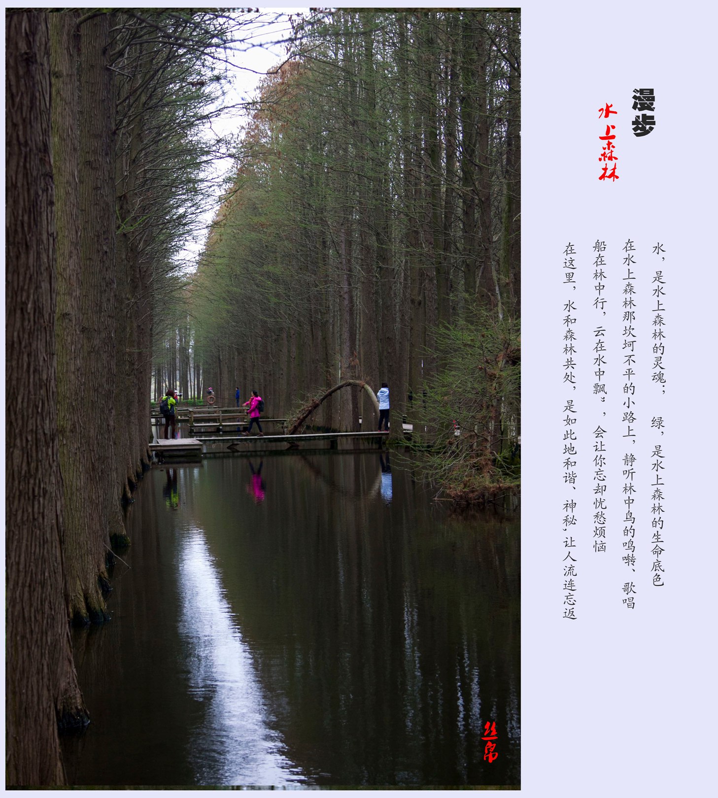 IMG_3826_副本_副本.jpg