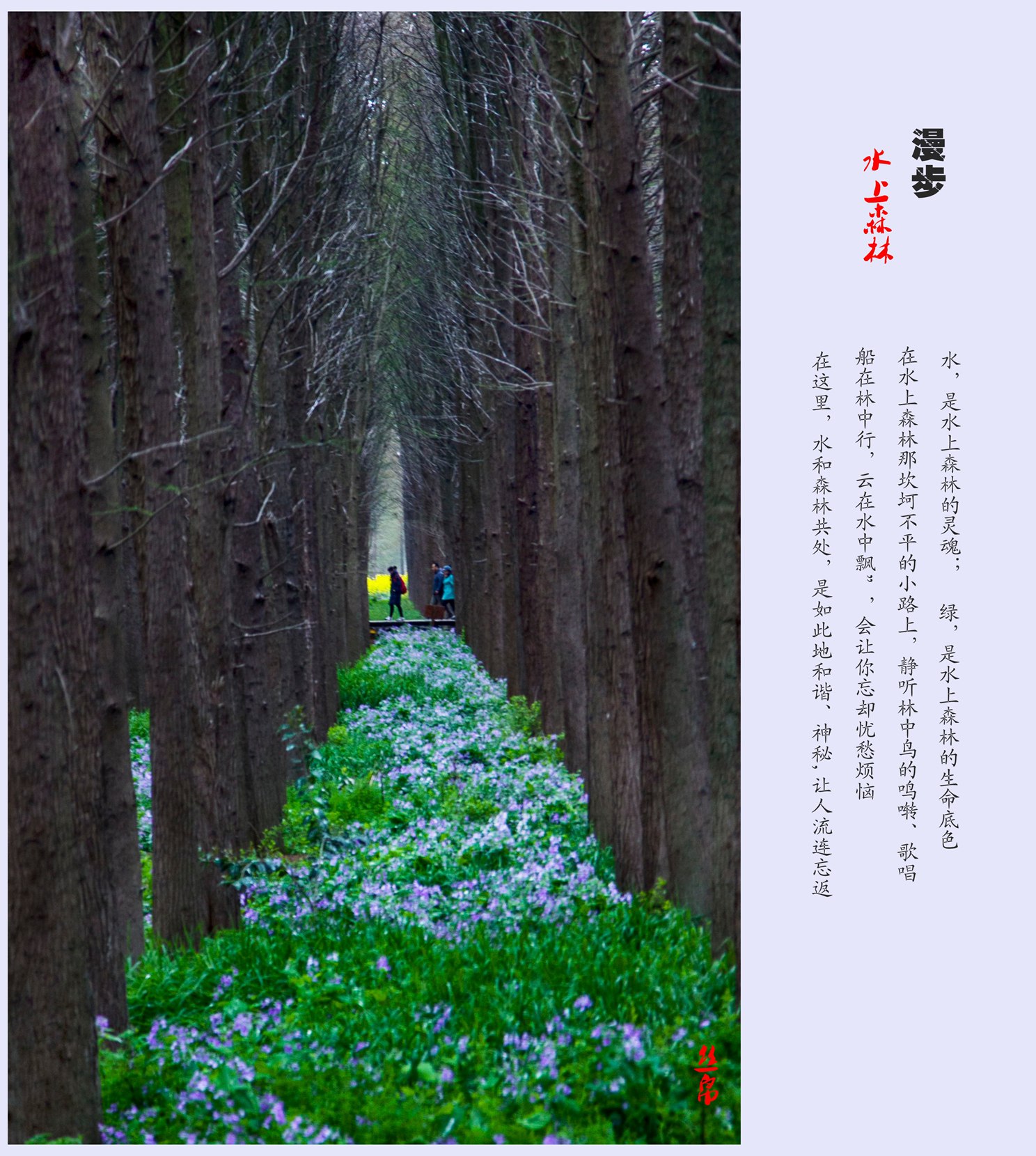 IMG_3841_副本_副本.jpg