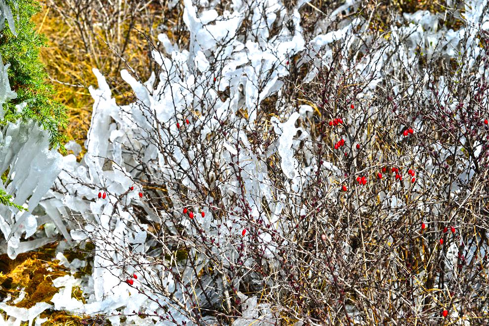DSC_7373.JPG