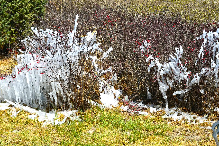 DSC_7376.JPG