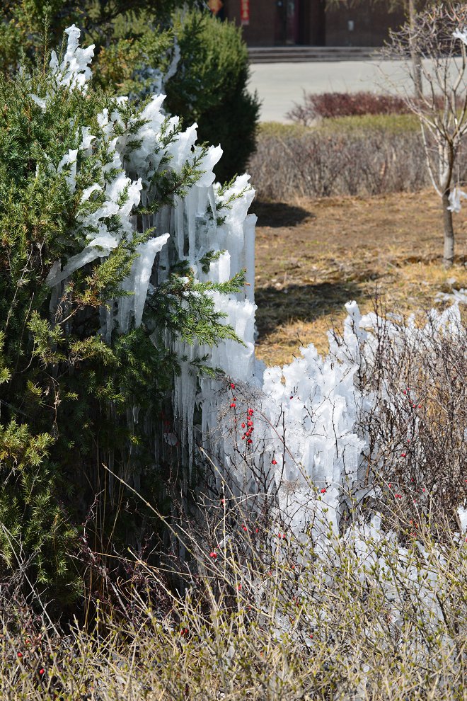DSC_7383.JPG
