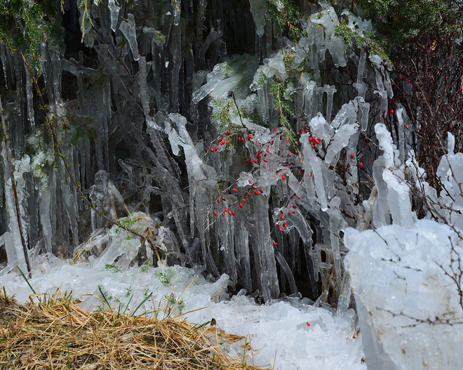 DSC_7388.JPG