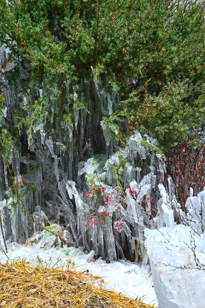 DSC_7389.JPG