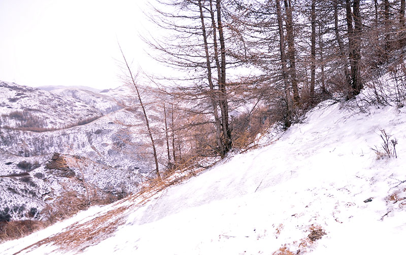 _DSC0282.JPG