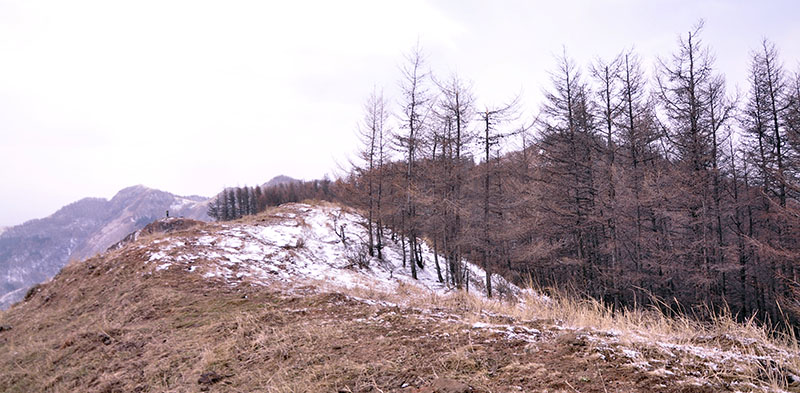 _DSC0288.JPG