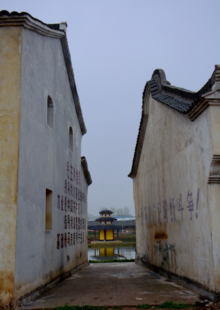 DSC_4978.JPG