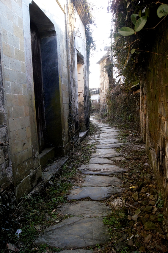 _DSC0681.JPG