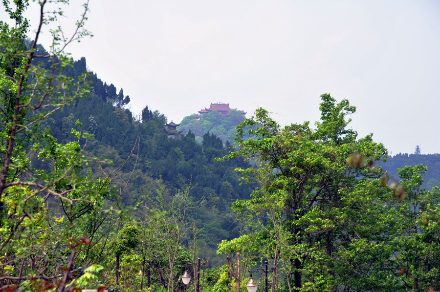 DSC_9352.jpg