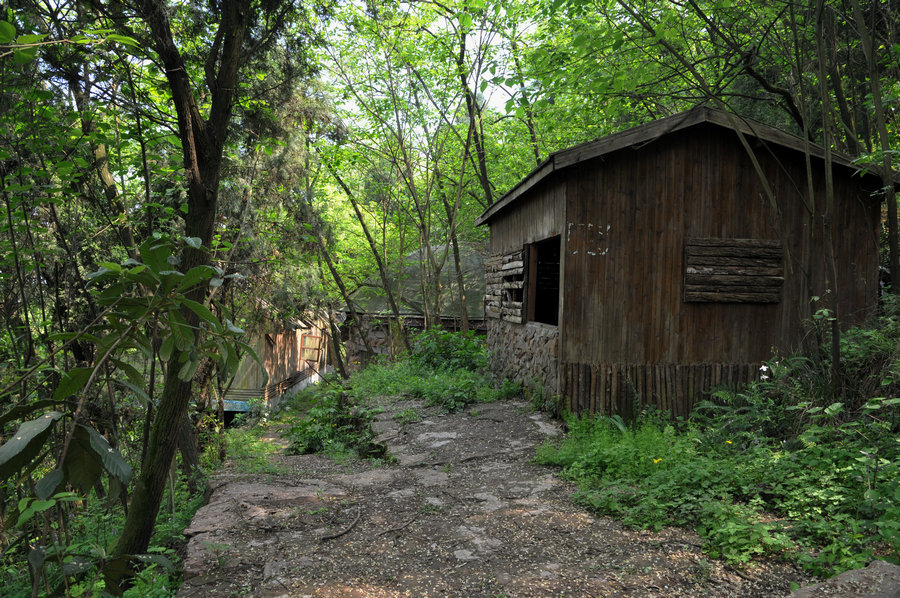 DSC_9376.jpg