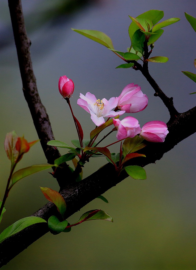 7D6A0918.JPG