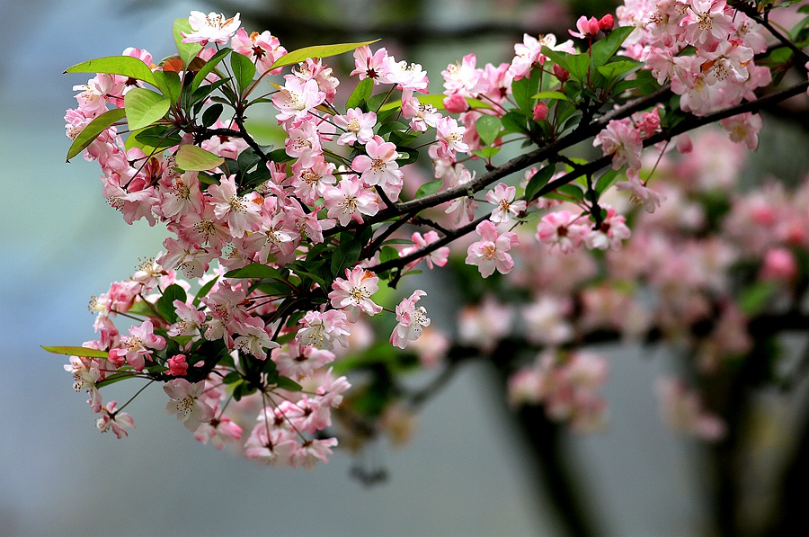 7D6A0928.JPG
