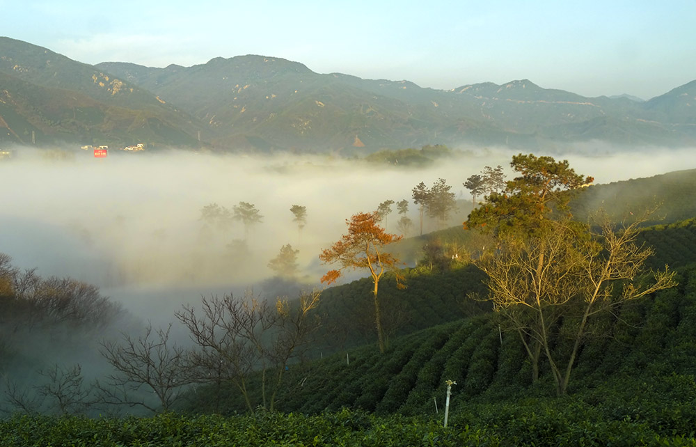 DSC00867-0副本.jpg