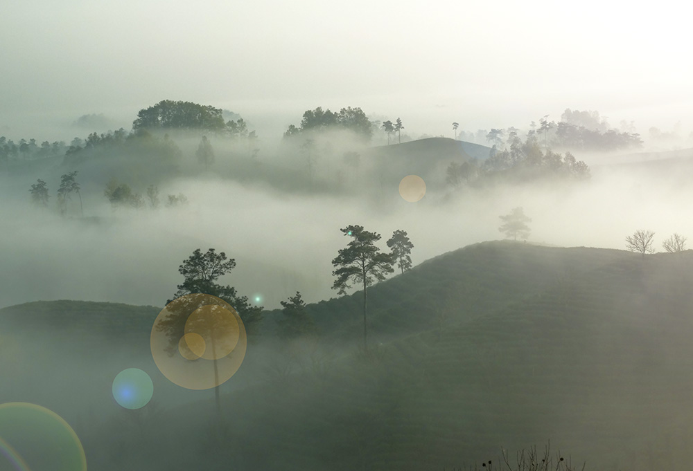 DSC00874-0副本.jpg