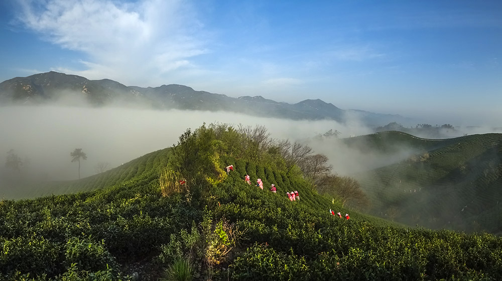 DSC00921-0副本.jpg