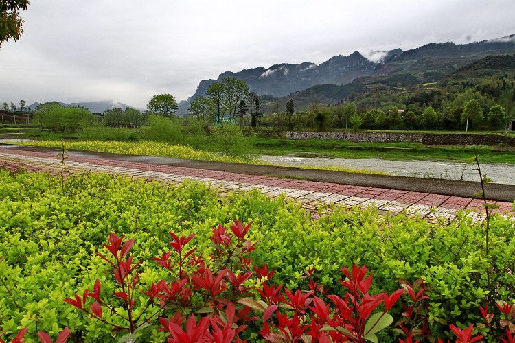 _MG_6938.jpg