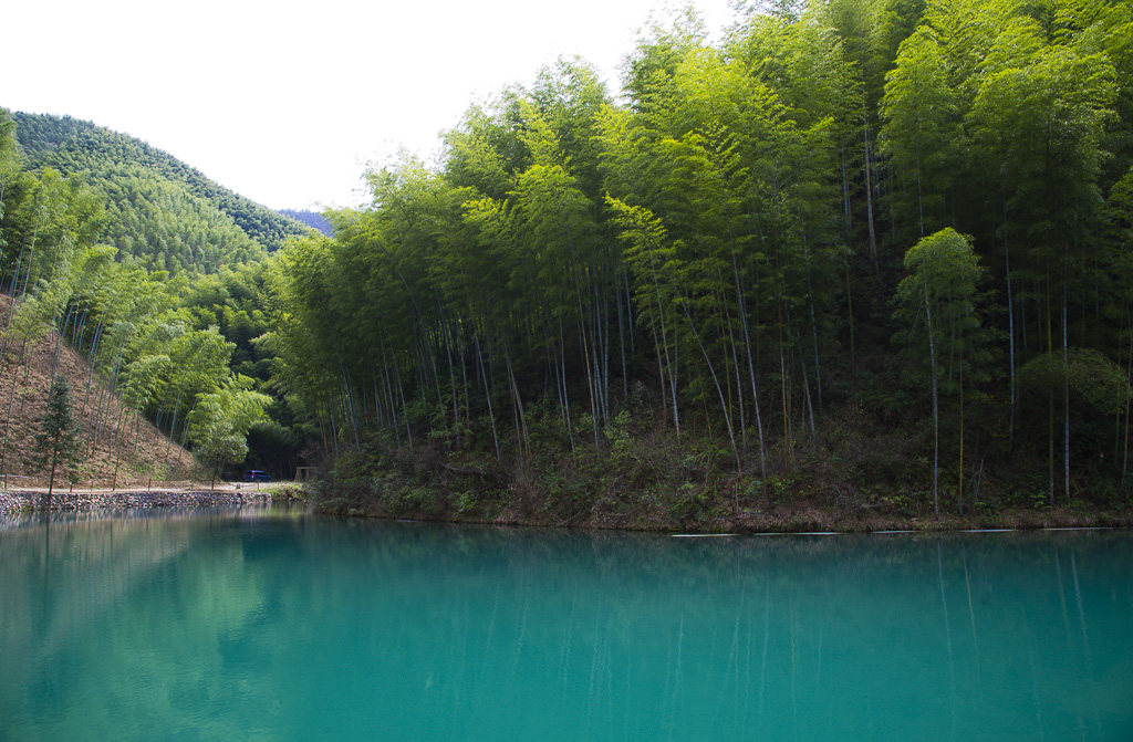 DSC_3148.jpg