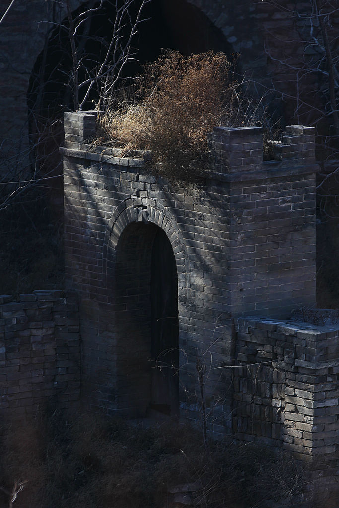 _MG_4503.JPG
