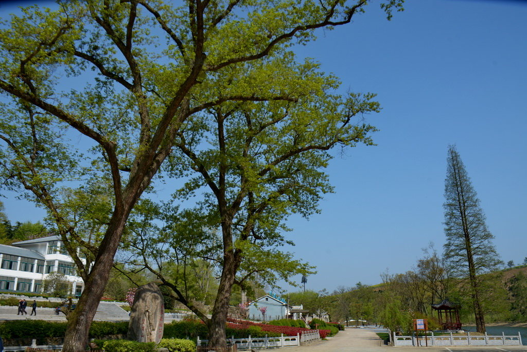 DSC_6132.JPG
