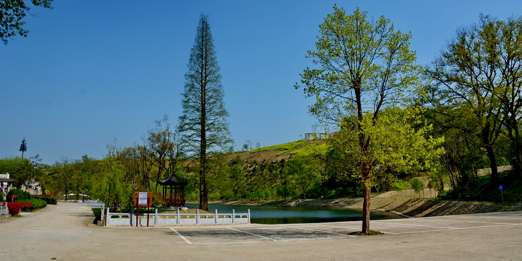 DSC_6138.JPG