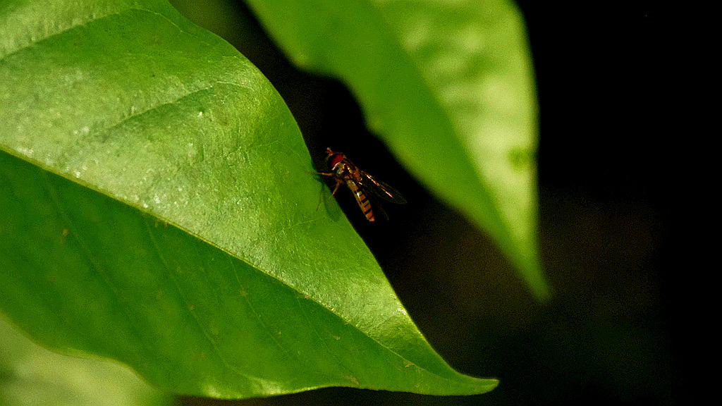 IMGP8786_副本.jpg