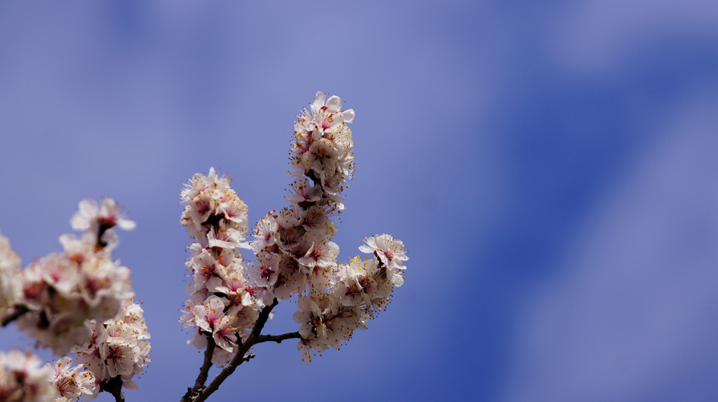 DSC00599_副本.jpg