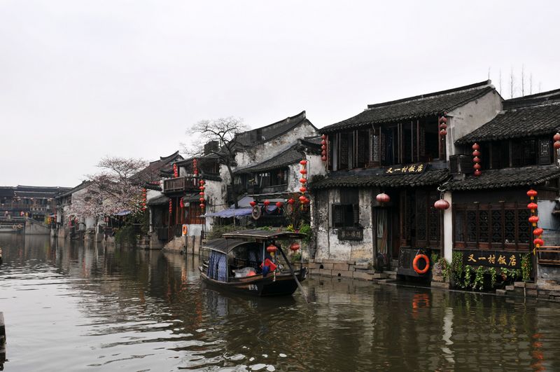 DSC_2052A.jpg