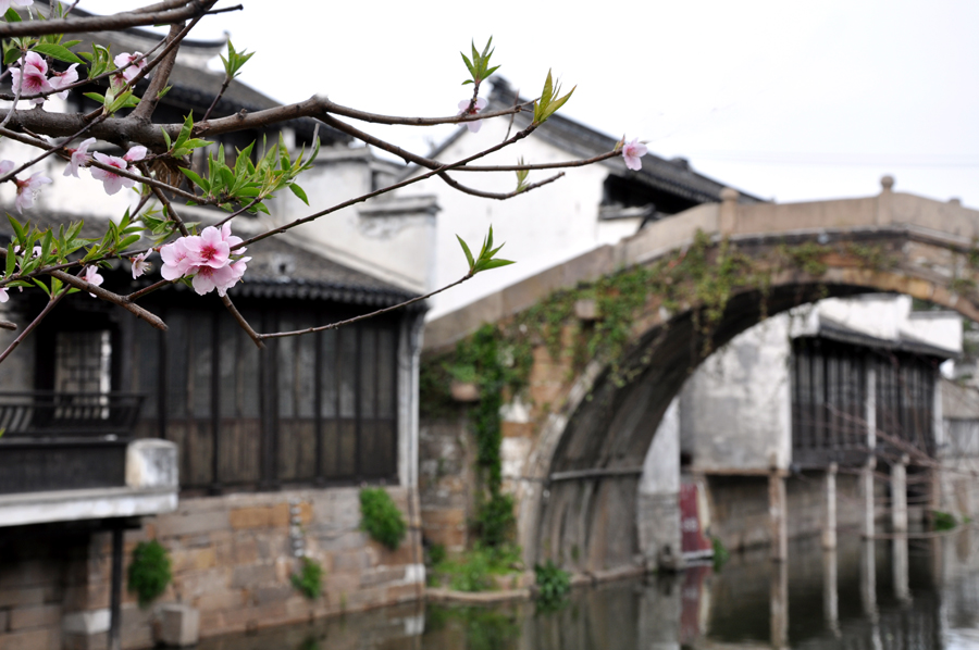 DSC_1094副本.jpg
