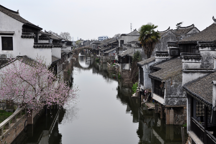 DSC_1098副本.jpg