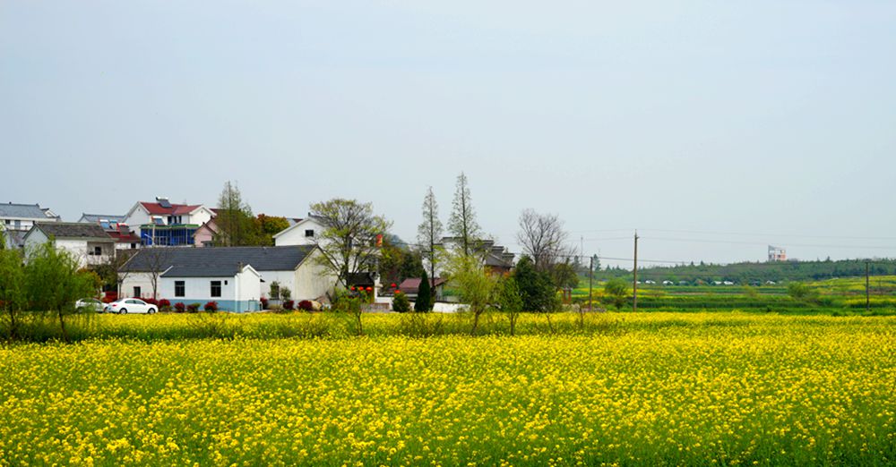 DSC02439_副本.jpg