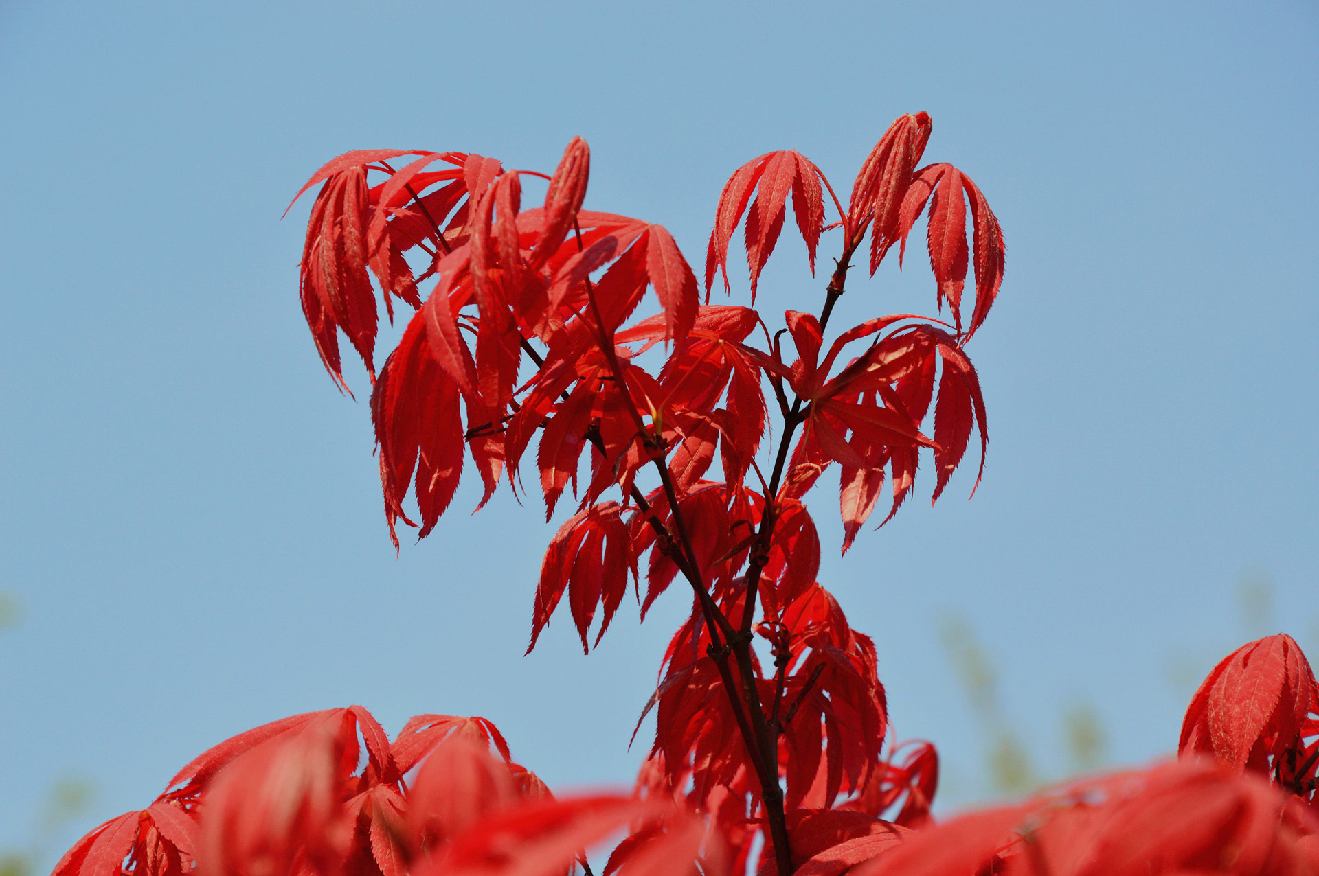 DSC_0191.jpg