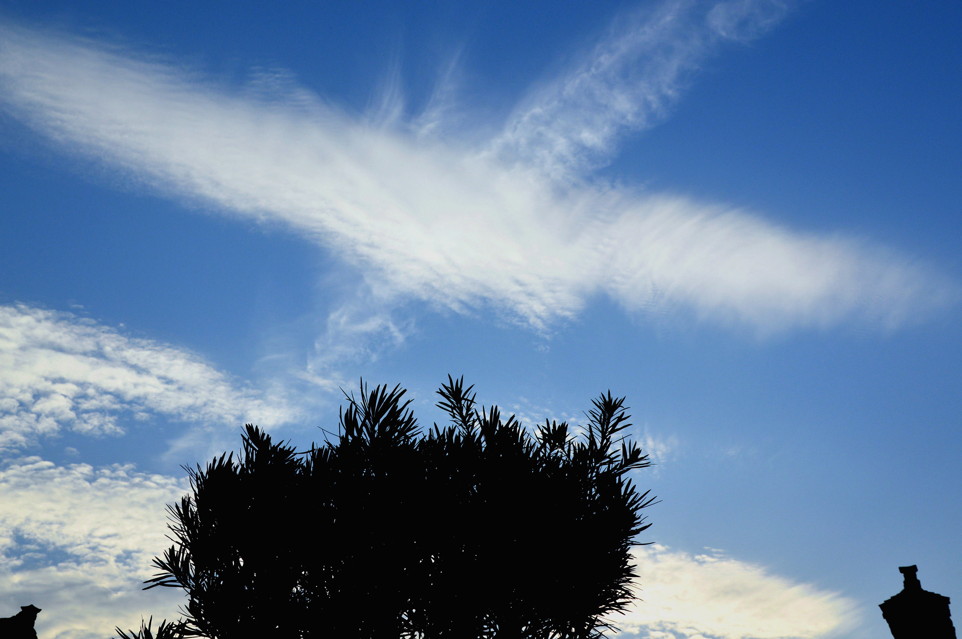 DSC_0807_.jpg